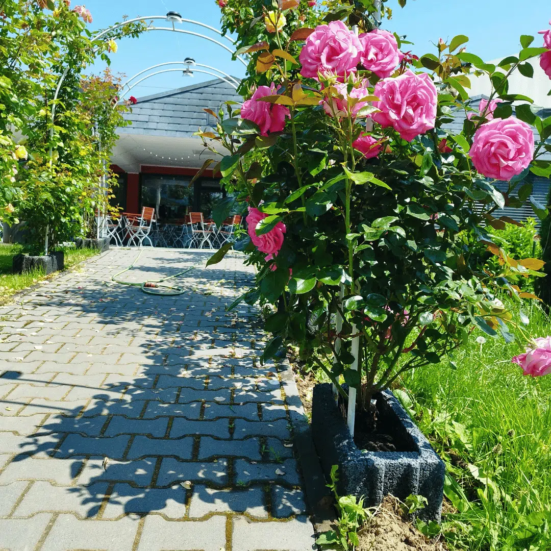 Trauerfeier / Reueessen 4 Biergarten